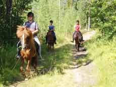 Randonn&eacute;e &agrave; cheval en Finlande avec Randocheval / Absolu Voyages
