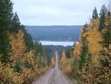 Horse riding trail in Finland &ndash; Randocheval / Absolu Voyages
