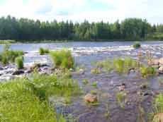 Horse riding trail in Finland &ndash; Randocheval / Absolu Voyages