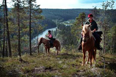Horse riding holidays, horseback trails and equestrian vacation in Lapland (Finland) on the Polar Circle : adventurous riding trail in Oulanka National Park, among lakes and forests !