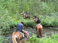 Randonnée équestre en Laponie Finlandaise, sur le Cercle Polaire - Rando Cheval