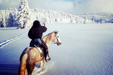 randonnee cheval neige