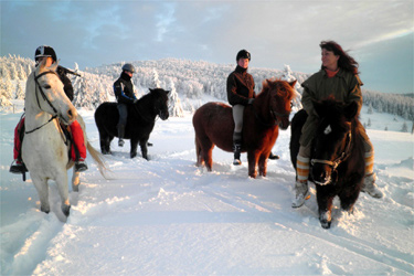 randonnee cheval neige
