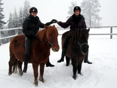 randonnee cheval lorraine