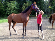 randonnee cheval lorraine