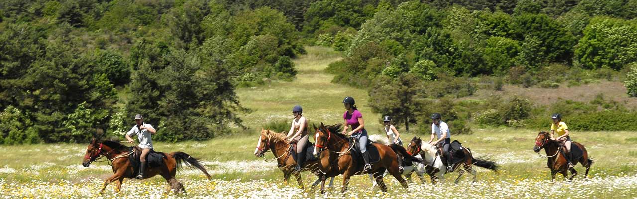 Rando Cheval - Aventure à cheval