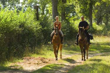 randonnee cheval millau