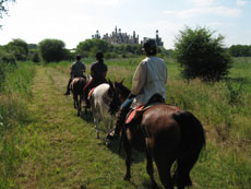 Ch&acirc;teaux de la Loire &agrave; cheval -arriv&eacute;e &agrave; Chambord/RANDOCHEVAL