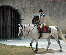 Randonnée équestre à la découverte des Châteaux de la Loire - Randocheval