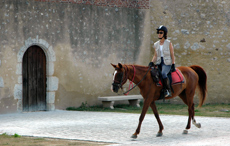 Randonnée équestre à la découverte des Châteaux de la Loire - Randocheval