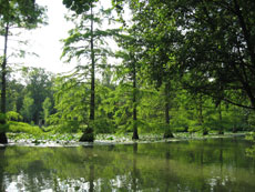 Châteaux de la Loire à cheval - Parc de Cheverny/RANDOCHEVAL
