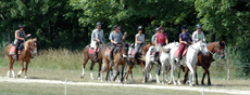 Randonnée équestre à la découverte des Châteaux de la Loire - Randocheval
