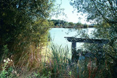 Châteaux de la Loire à cheval - Les Closeaux - parc/RANDOCHEVAL