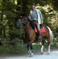 Randonnée équestre à la découverte des Châteaux de la Loire - Randocheval