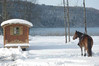Voyage à cheval dans le Jura en hiver - Randonnée équestre organisée par Randocheval