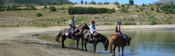 licence randocheval 2015