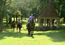 randonnee equestre ile de france