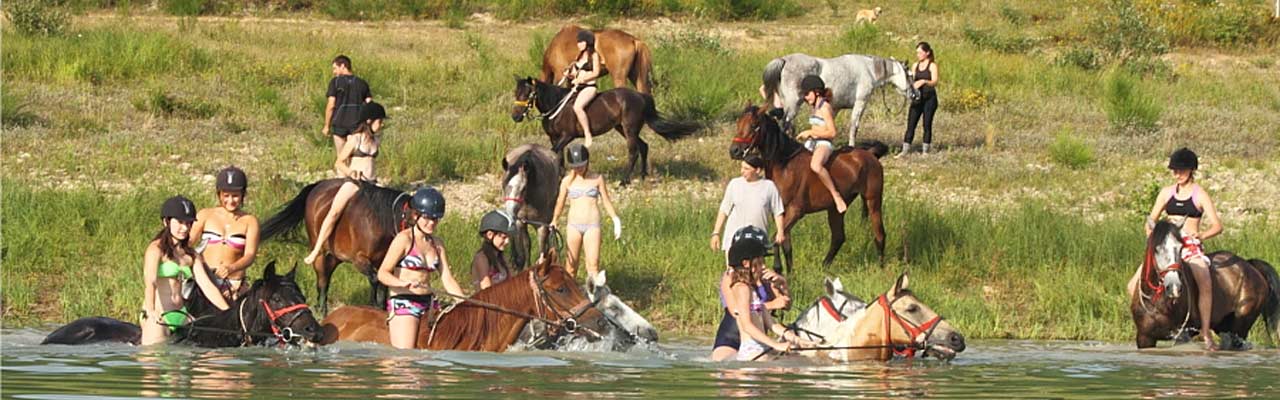 randonnee equestre yonne