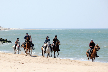 randonnee cheval medoc