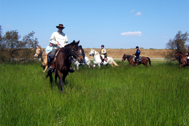 randonnee cheval medoc