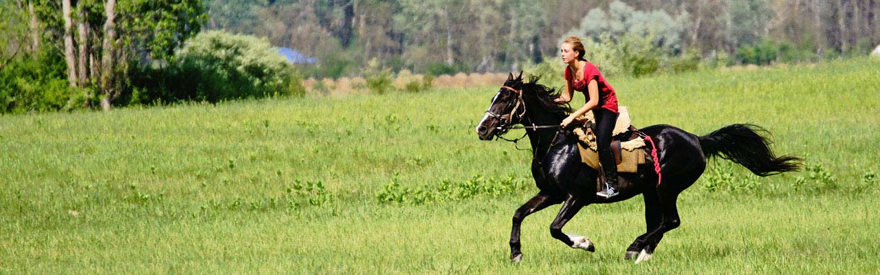 randonnee cheval hongrie