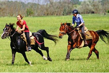 rando cheval hongrie