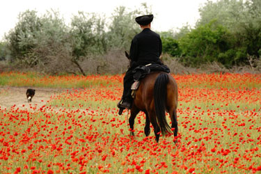 randonnee cheval hongrie