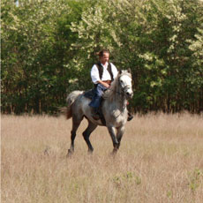 Hongrie : séjour équestre dans la Puszta / Randocheval