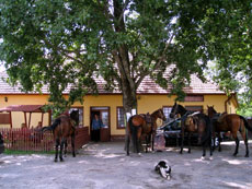 Hongrie : s&eacute;jour &eacute;questre dans la Puszta - halte &agrave; la taverne / Randocheval
