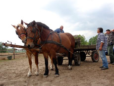 Hongrie : s&eacute;jour &eacute;questre dans la Puszta - Paysans rencontr&eacute;s sur le chemin / Randocheval