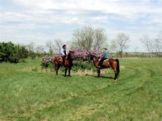 Hongrie : séjour équestre dans la Puszta - Printemps / Randocheval