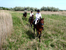 Hongrie : séjour équestre dans la Puszta en été / Randocheval