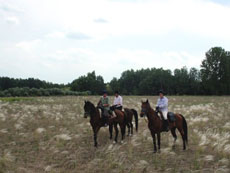Hongrie : séjour équestre dans la Puszta - la steppe hongroise / Randocheval