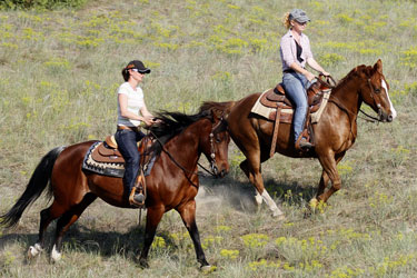 rando cheval hongrie