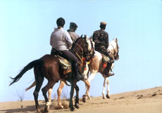 Horse riding holidays in Rajasthan (India) - Randocheval