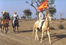 Horse riding holidays in Rajasthan (India) - Randocheval