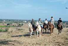 Horse riding holidays in Rajasthan (India) - Randocheval