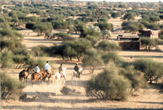 Horse riding trail in India on Marwari horse &ndash; Randocheval / Absolu Voyages