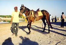 Randonn&eacute;es &eacute;questres en Inde au Rajasthan sur des chevaux Marwari