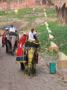 Jaipur- extension de s&eacute;jour en Inde, au Rajhastan - Randocheval / Absolu Voyages