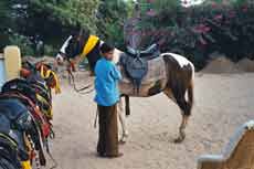 Horseback trail in India on Fairs - Randocheval