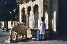 Extension de randonnée équestre en Inde avec Randocheval, visite du Taj Mahal, de Delhi, Safari... - Randocheval / Absolu Voyages