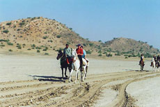 Horse riding holidays in Rajasthan (India) - Randocheval