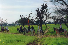 D&eacute;couverte des merveilles de Shekawati &agrave; cheval - Randocheval