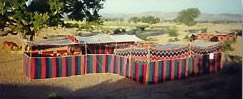 Photo of hour horseback holidays with fantastic Marwari Horse