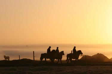 Voyage à cheval sous les aurores boréales en ISLANDE - Randonnée équestre organisée par Randocheval