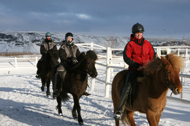 Voyage à cheval sous les aurores boréales en ISLANDE - Randonnée équestre organisée par Randocheval