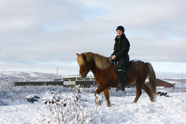 randonnee cheval islande