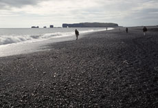 Extension en Islande - Plage de cendre noire &agrave; Dyrholaey - Rando Cheval / Absolu Voyages