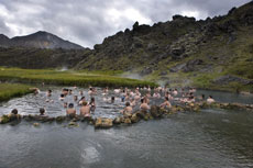 Extension en Islande - Source d'eau chaude naturelle - Rando Cheval / Absolu Voyages